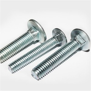 Carriage bolt Bolts