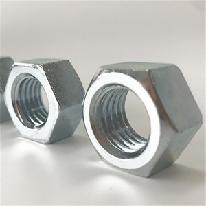 Hex Nut