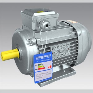 Y2/YE2 square shape series  IEC motor  LXIEC001