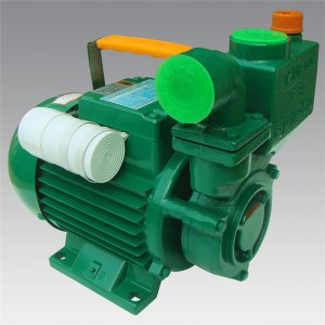 ZDB series  Household cast iron pump  LXZT011