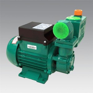 DB-B series  Household cast iron pump  LXZT014