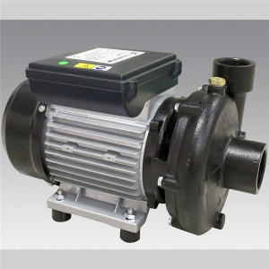 DAH series Household cast iron pump  LXZT019