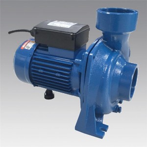 DAH series Household cast iron pump  LXZT019