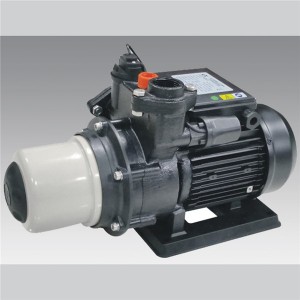 DAH series Household cast iron pump  LXZT019