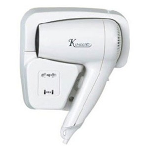 JXG-2000E  Hair Dryer