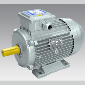 Y2/YE2 round shape series  IEC motor  LXIEC002