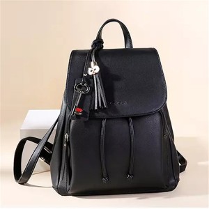 China’s high quality backpacks, fashion backpacks and schoolbags