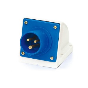 2P+E Industrial Plug