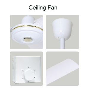 CF-2423 Ceiling Fan