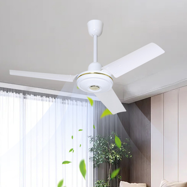 CF-2423 Ceiling Fan (5)