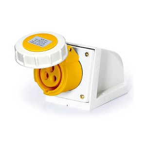 2P+E Industrial Socket
