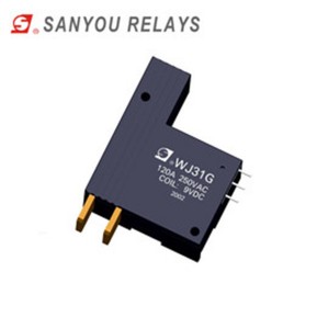 WJ31G  Magnetic holding relay