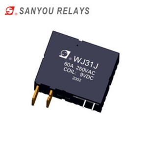 WJ31J  Magnetic holding relay