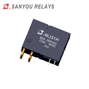 WJ31H  Magnetic holding relay